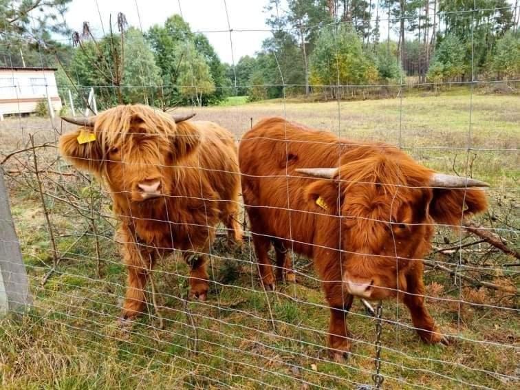 Domek Letniskowy Nad Stawem Villa Lipusz Luaran gambar